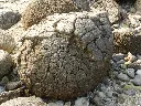 dscn0868.webp