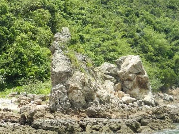 Lai Chi Wo, Kat O, Ap Chau One-Day Tour (L10003)