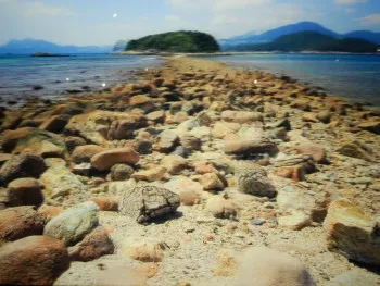 Geopark Bridge Island & Po Toi O Lunch Day Trip IC010001