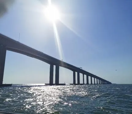 (Hong Kong-Zhuhai-Macau Bridge, Sha Chau, Tung Chung Day Trip) (L10016)